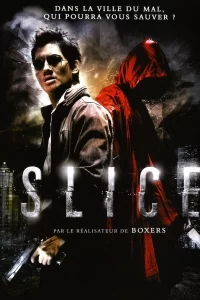 Slice