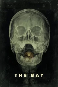 The Bay en streaming vf et vostfr